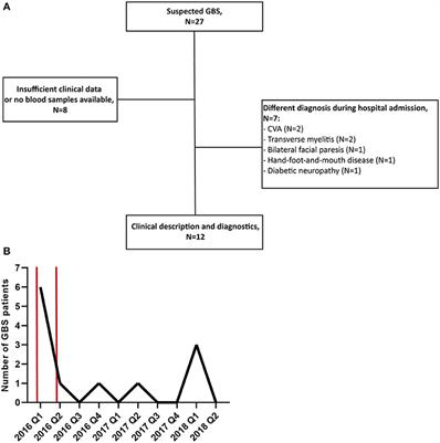 Guillain-Barré Syndrome in Suriname; Clinical Presentation and Identification of Preceding Infections